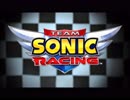 チームソニックレーシング