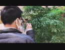 大物YouTubeｒ 横浜散歩編 BGM消去