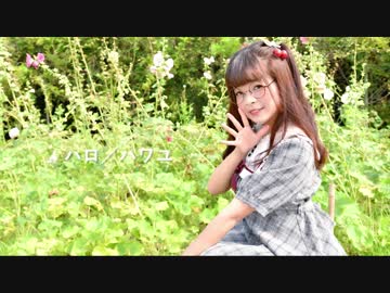 【暖炉】ハロ／ハワユ 踊ってみた