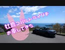 【ゆかり車載】牡鹿コバルトラインをお車してきた【NDロードスター】