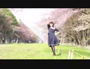【きみどり】流星ダイアリー 踊ってみた【桜】
