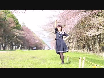 【きみどり】流星ダイアリー 踊ってみた【桜】