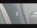車の中にいた無視できない奴。