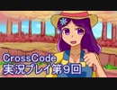 広大な世界を冒険しよう！　CrossCode実況プレイpart9