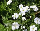 誕生日に贈る言葉～5月9日生まれの成功志向のあなたに－聴きものがたり