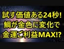試す価値ある24秒！鯉が金色に変化で金運ご利益MAX！？