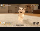 風邪を引いてるので犬とか猫とか見て癒される【実況】