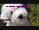 【怪異850】SCP-4091 - ある少年の犬