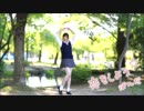 【ぱんだ】　恋をしよう　踊ってみた　【T.M.R23周年】