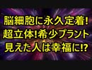 脳細胞に永久定着！超立体！希少プラント 見えた人は幸福に！？