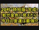 待望の「20秒」時短版完成！蛇が金色に見えたら今日の金運は最強！？