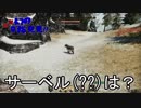 【実況】加速するスカイリムの旅 Page3【外伝】