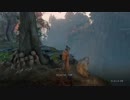 高難易度ゲーム隻狼を53のおっさんがやってみました。（FHD）#35