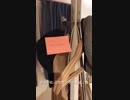 15日目：姿の見えない西野七瀬（上級者向け）