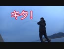 【釣り】堤防からアジを泳がせてみた