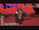 【ニコカラ】ラストリゾート【on vocal】