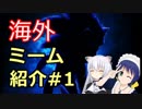 【海外ミーム紹介】#1 全米が衝撃!? 実写になったソニック【リプメイド放送局】