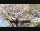 「さよなら」／ヨー feat.初音ミク