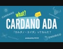 【仮想通貨アニメ／CARDANO ADA】7分で分かる！カルダノ・エイダって何？