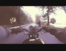 Pexels Videos 1333384　久保田雅一郎