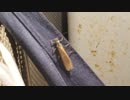 倉庫にいた無視できないやつ