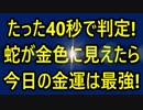 たった40秒で判定！蛇が金色に見えたら今日の金運は最強！