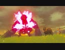 厄災かけますね.botw51(終)
