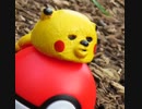 だらだらいおん・しわしわピカチュウでだらだら編