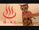【モアクリ】 猫っ風呂 2019