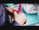 Pexels Videos 1616167　松本智幸