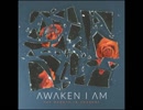 洋楽を高音質で聴いてみよう【1316】Awaken I Am 『Kin』