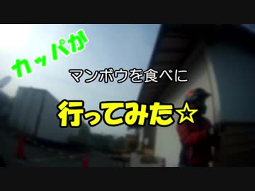 カッパがマンボウを食べに行ってみた１