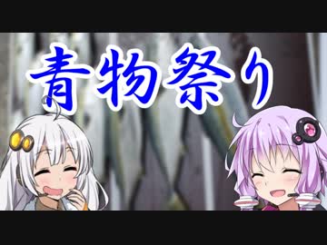ゆかりとあかりの山陰釣行記　その３「GWの青物祭り(前編)」【VOICEROIDフィッシング】