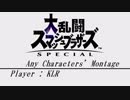 【スマブラSP】Any Characters' Montage【SSBU】