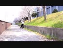 【にゃるぽん】さようなら、花泥棒さん【踊ってみた】