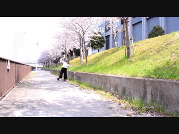 【にゃるぽん】さようなら、花泥棒さん【踊ってみた】