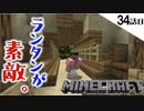 《Minecraft》ランタンが素敵すぎる。小橋とトンネル造ってランタン飾ってたら、ネコにトキメいちゃう34話目。《てきとうサバイバル》