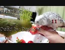 これが私のDead by Daylight　11【ゆっくり実況】