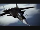 【ACECOMBAT7】 難易度ACE イヌワシで飛んでみる【ステージ11】【エースコンバット7】