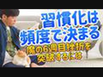 【6週間で挫折激増】週何回で続ければ習慣化するか判明【ビクトリア大学】