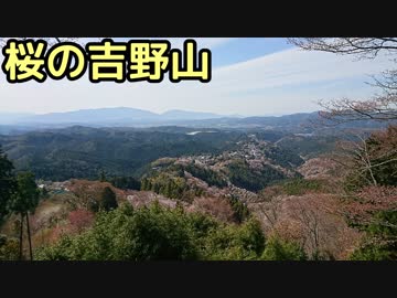 おバイク！桜の吉野山・奈良県道15号線【GLADIUS】