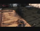 ＃17【SEKIRO/隻狼】祝！！令和！なっくーによるセキロ実況！人生初の死にゲー！17日目【SEKIRO: SHADOWS DIE TWICE】