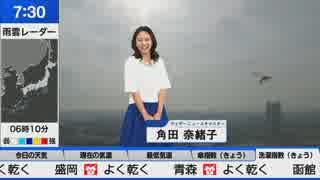 ウェザーニュースLiVE モーニング 天カメ (2019-05-11)