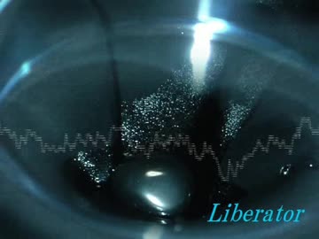 【NNI】Liberator