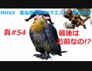 【MHXX縛り実況 真#54】最後はお前なの！？VSホロロホルル他