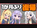 【 APEX 】帰ってきた あかりちゃん【 1 3 】