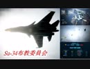 Ace Combat 7 Multiplayer74  チームデスマッチ  Su-34 + HCAA