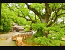 【SEROW】バイクで神社を巡ろう８～蒲生八幡神社～