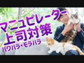 【パワハラ】脅して操るマニュピレーター上司を撃退するには【モラハラに倍返し】