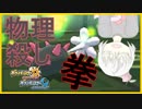 【ポケモンUSM】もちろんおれらは抵抗するで・・・拳で！！